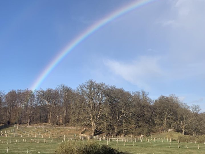 Regenbogen über den Wiesen bei Groß Zecher